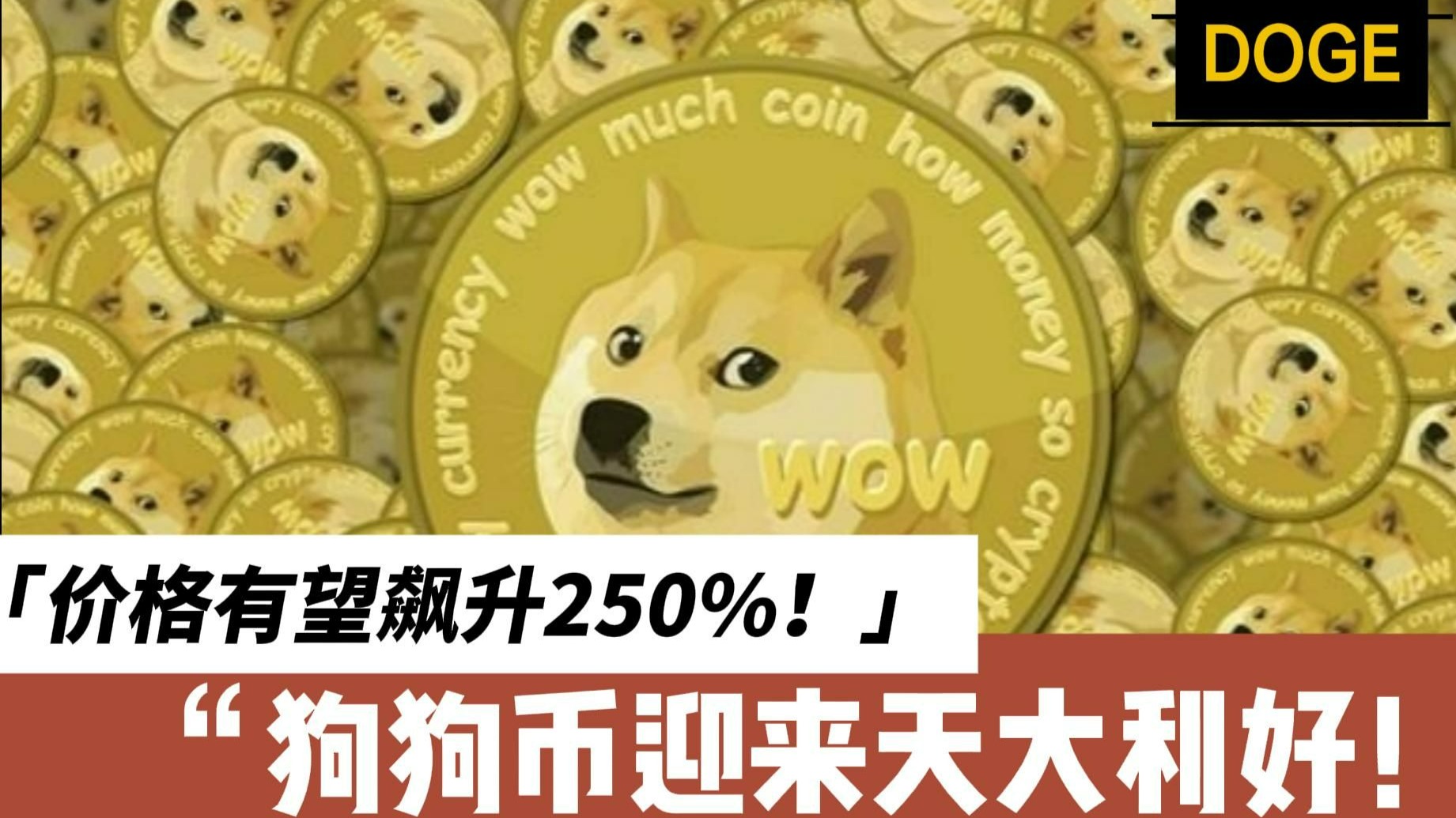 Coinbase空投即将开始，参与用户将获狗狗币枚代币
